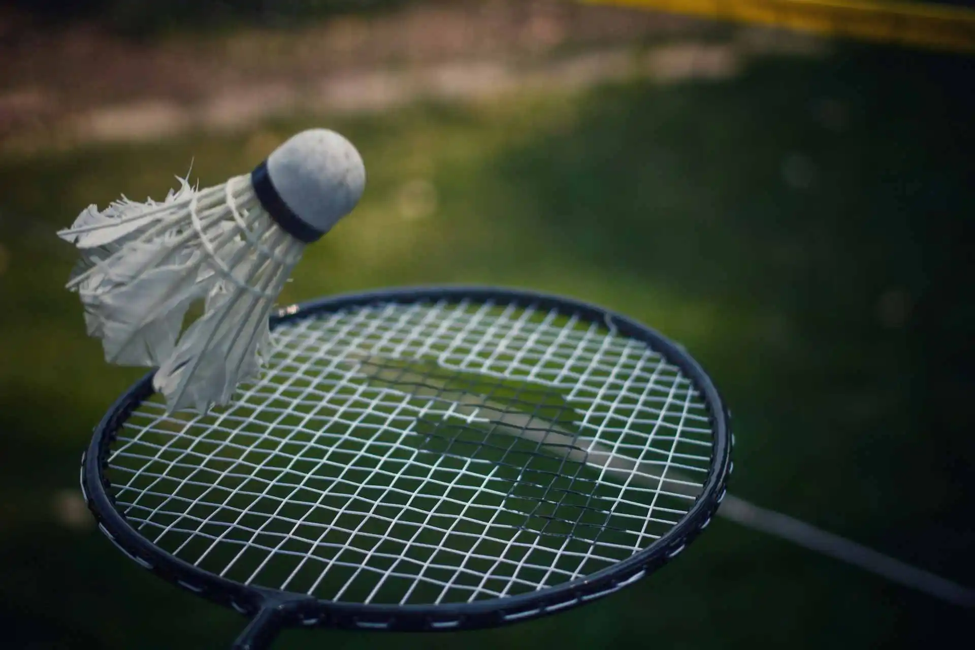 China Masters 2024 Badminton: Sindhu Lose to Jia Min, Satwik-Chirag & Lakshya Sen Advance