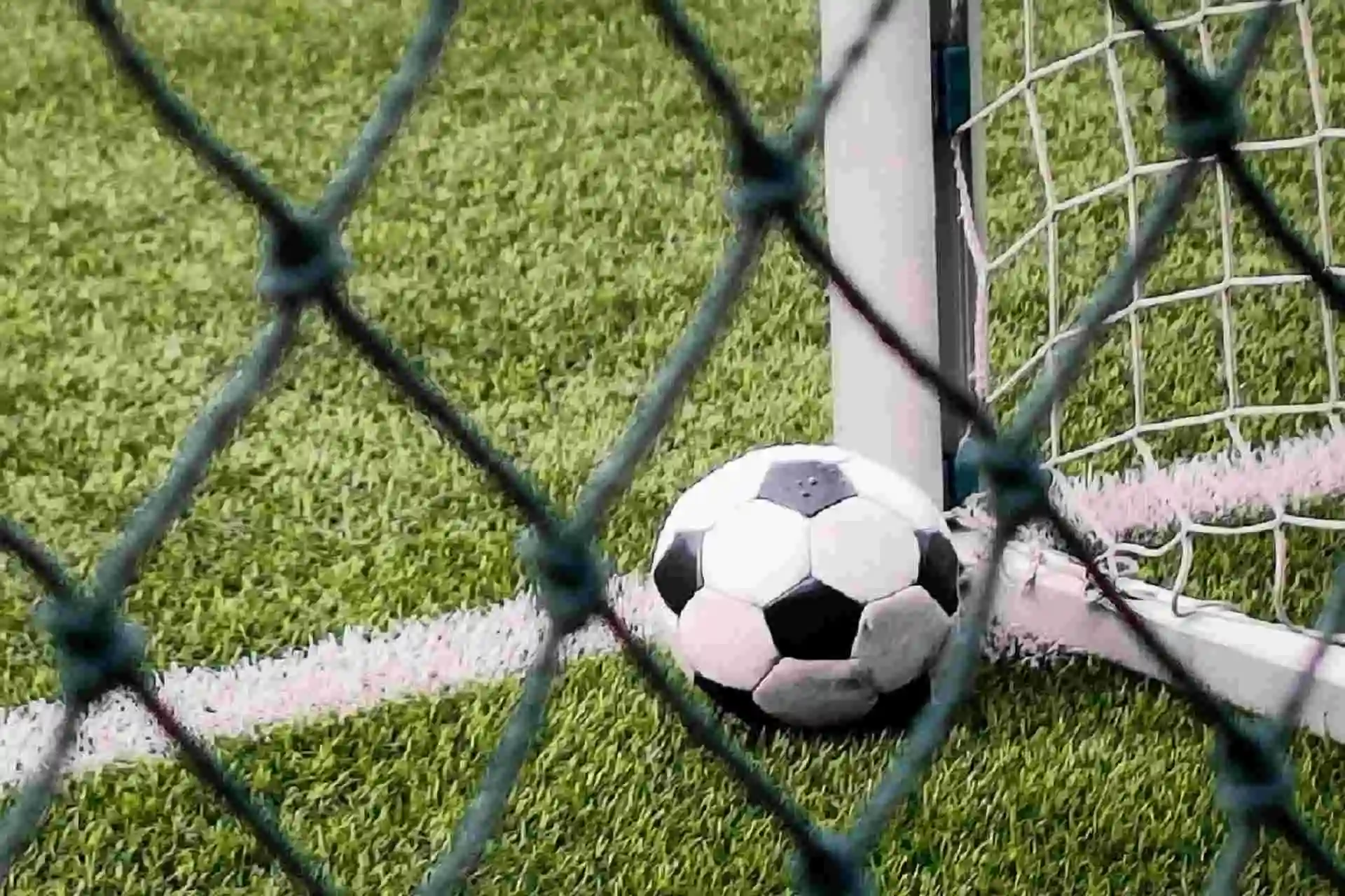 Guglielmo Vicario’s Injury Pushed Tottenham to Appoint New Goalkeeper for Transfer Window
